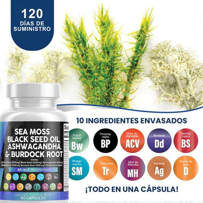SEA MOSS XTREME – Aumenta Energía, Quema Grasa y Define Músculo | Fórmula con Ashwagandha
