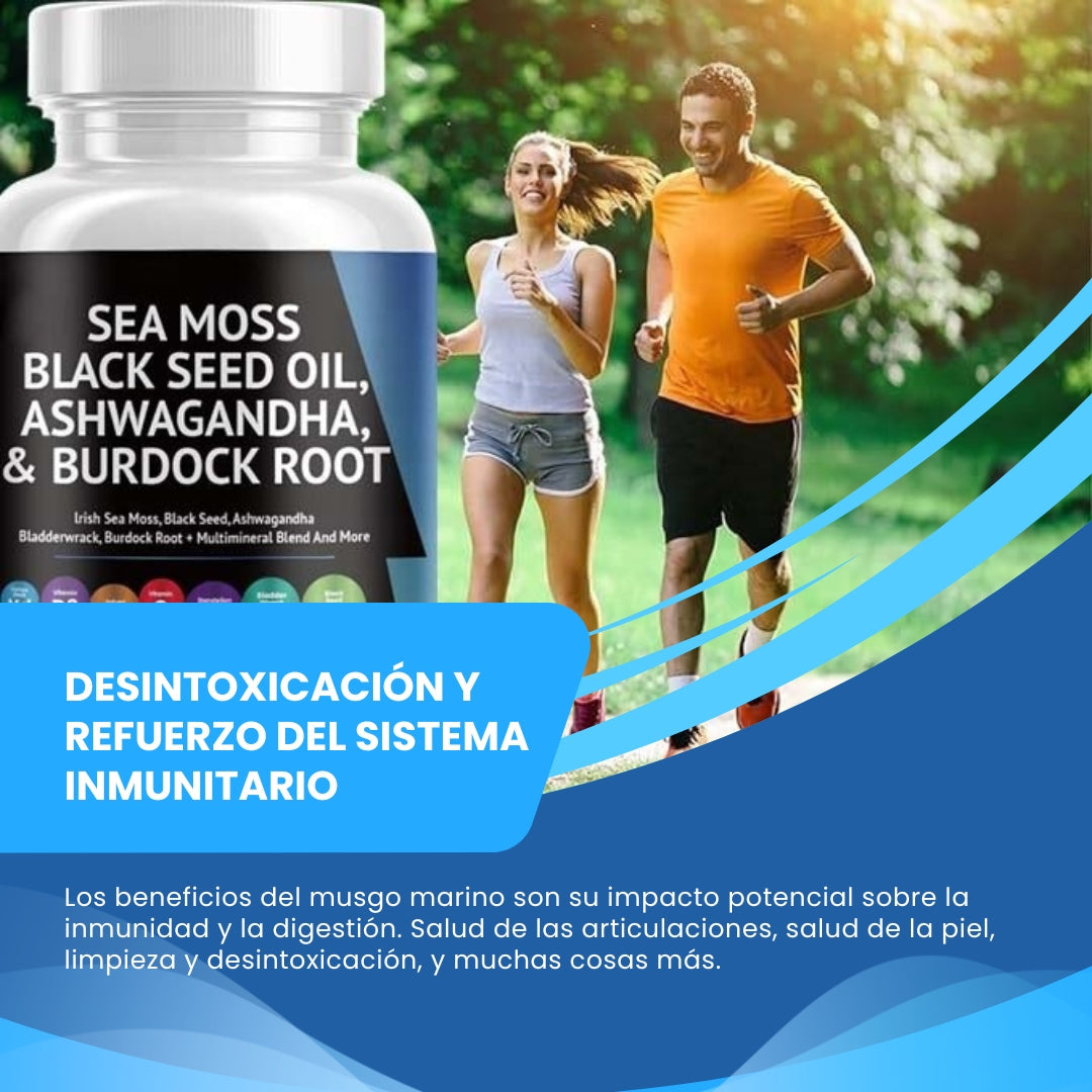 SEA MOSS XTREME – Aumenta Energía, Quema Grasa y Define Músculo | Fórmula con Ashwagandha
