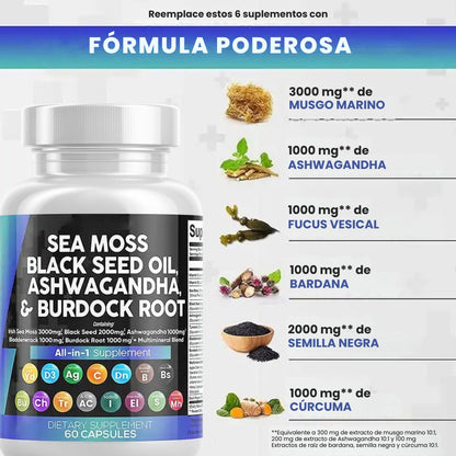 SEA MOSS XTREME – Aumenta Energía, Quema Grasa y Define Músculo | Fórmula con Ashwagandha